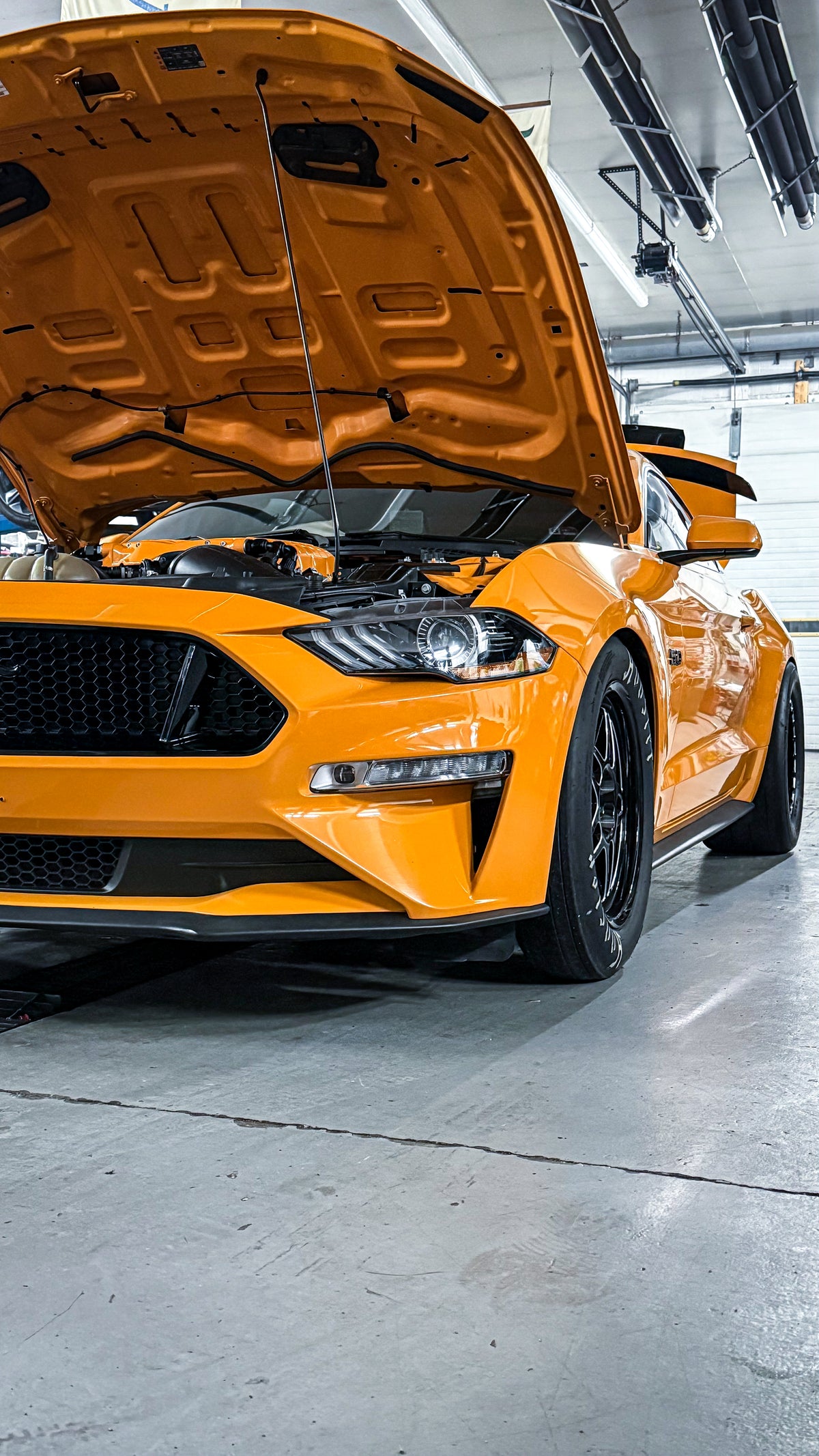 Ford Coyote 5.0 Custom Tuning – Mustang & F-150 – Dyno & Remote by Habibi Sauce
