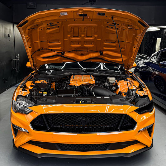 Ford Coyote 5.0 Custom Tuning – Mustang & F-150 – Dyno & Remote by Habibi Sauce