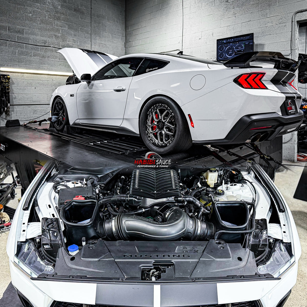 Ford Coyote 5.0 Custom Tuning – Mustang & F-150 – Dyno & Remote by Habibi Sauce